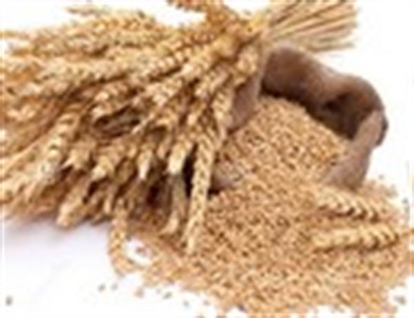 گره های زندگی!