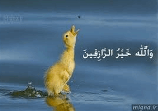 رزق