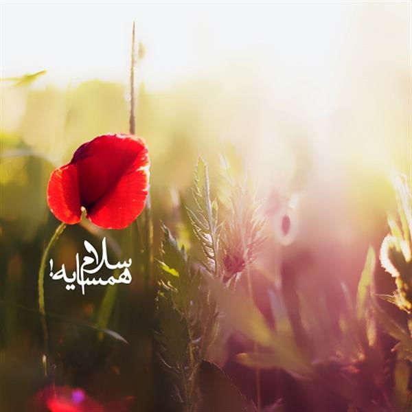 چه کسانی در روز رستاخیز همسایگان خدا هستند؟
