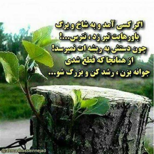 حکایت های تأثیرگذار