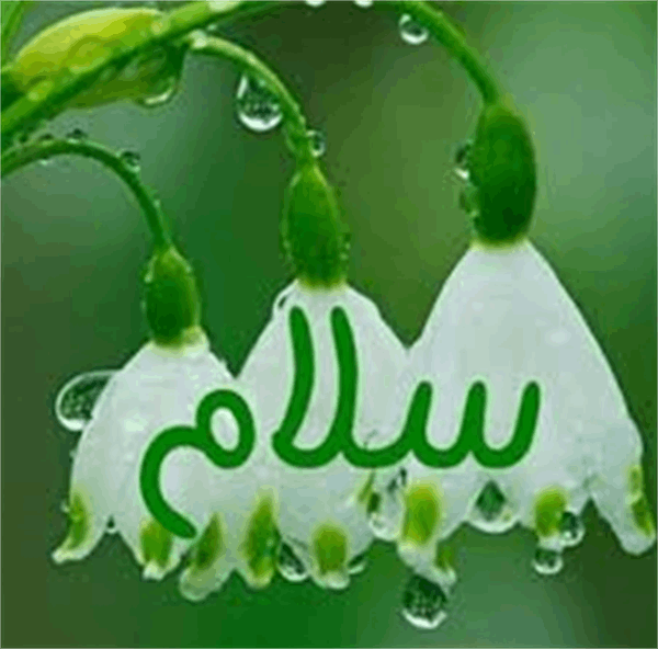 آداب سلام کردن (شماره1)