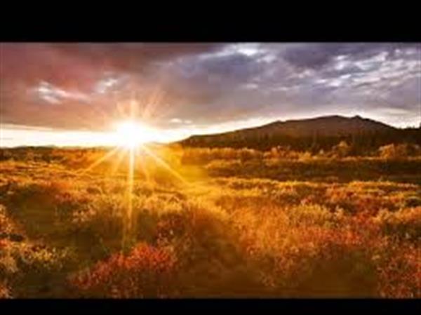 آیا می دانید افراد مثبت اندیش و منفی چگونه رفتار می کنند؟