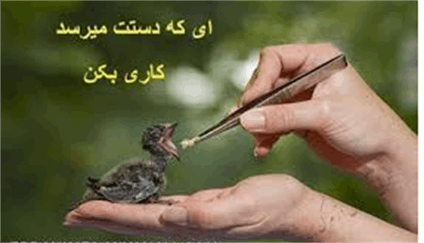 دستگیری